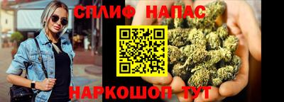 спиды Гагарин