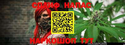 спиды Гагарин