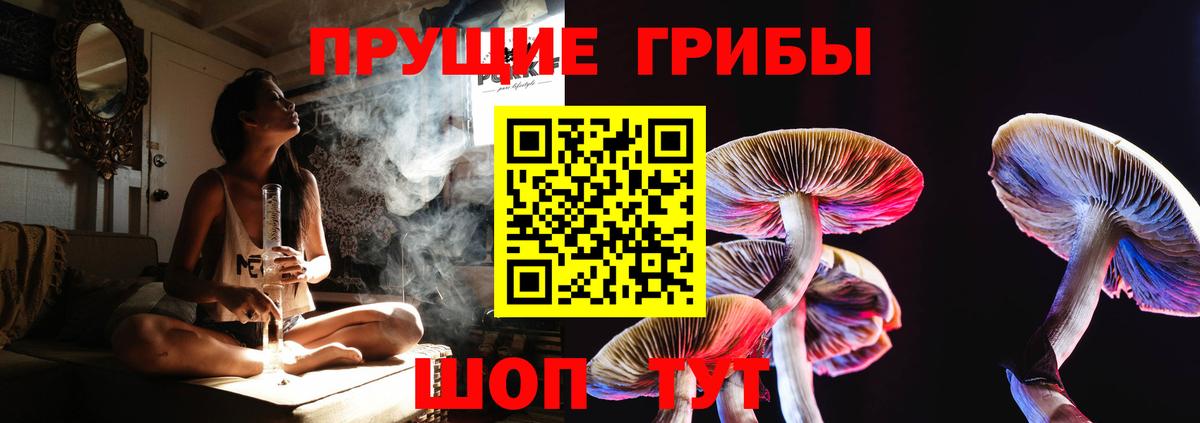 Галлюциногенные грибы GOLDEN TEACHER Киреевск